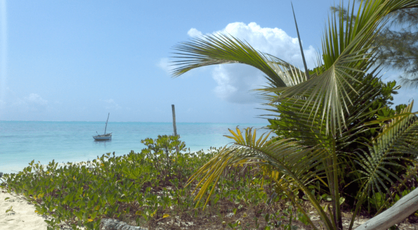 book announcement1_Jambiani